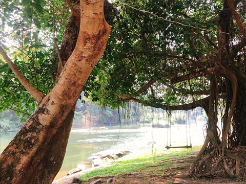 ที่พักริมน้ำ นครนายก